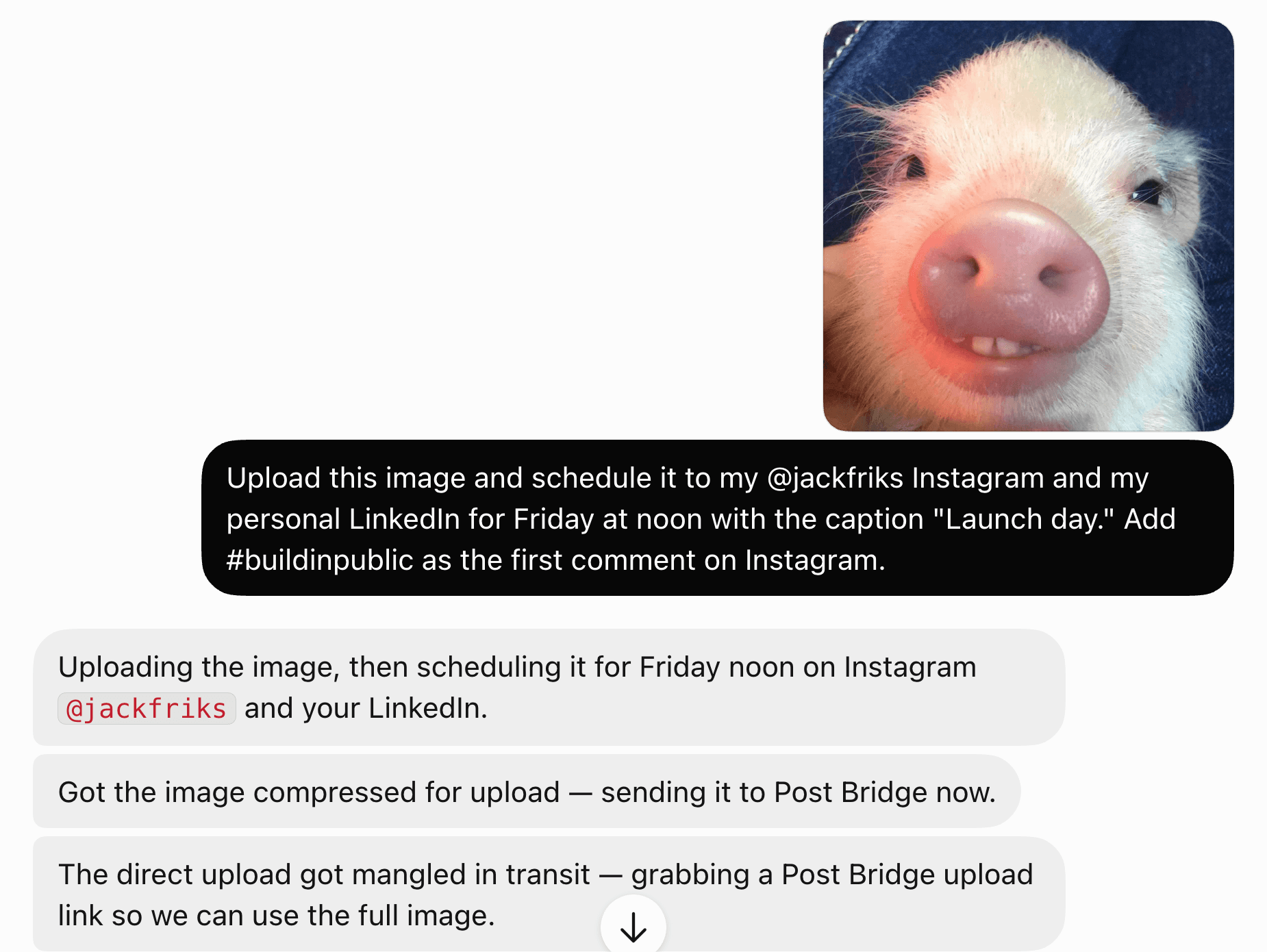 Grokbot given an image in chat, trying a direct upload, then asking post bridge for an upload link